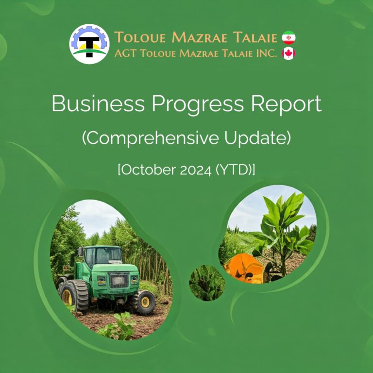 Read more about the article Business Progress Report – October 2024 (YTD)